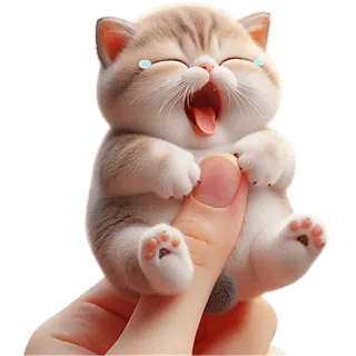 😭 kot, słodki, kociak, zwierzę, zwierzak, śmieszny, płaczący telegram sticker