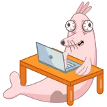 👩💻 海豹, 笔记本电脑, 电脑, 卡通, 动物, 梗 telegram sticker