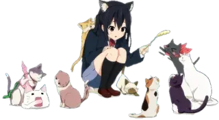 🙀 Anime, Chat, Fille, Animal, Mignon whatsapp sticker
