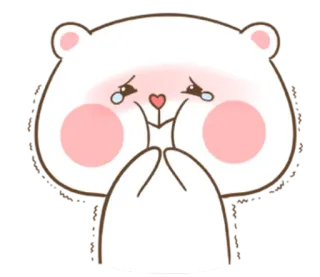 🐽 urso, fofo, chorando, triste, kawaii, urso branco telegram sticker
