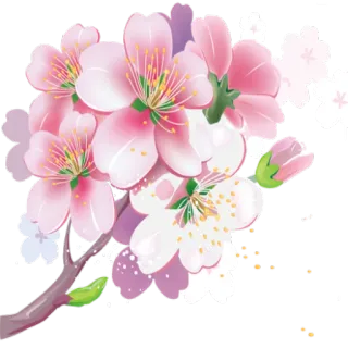 🌷 цветок, цветение, розовый, ветка, весна, цветочный telegram sticker