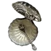 🐚