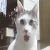 😟