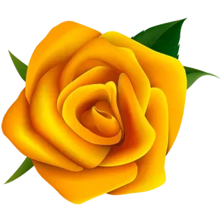 💫 flower, rose, yellow rose, nature, floral, plant telegram sticker