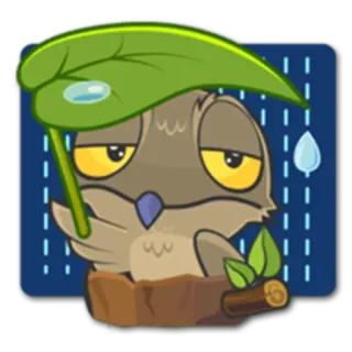 ☔️ coruja, chuva, folha, triste, animal, adesivo, desenho animado whatsapp sticker