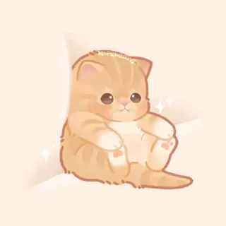 ✨ gato, gatinho, fofo, kawaii, animal, animal de estimação, laranja, desenho animado telegram sticker
