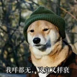 🙁 我咩都无, 叉穷又样衰 cachorro, meme, chapéu, shiba inu, chinês whatsapp sticker