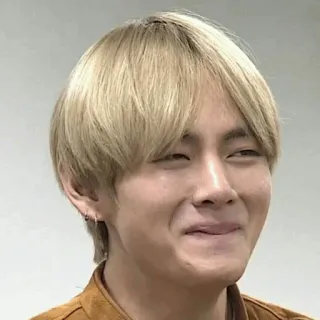 🖇 V orang, pria, selebriti, v, kpop, penyanyi, bts, korea telegram sticker