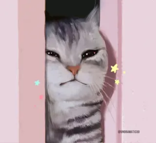 🌟 gato, animal, lindo, mascota, divertido, pegatina telegram sticker