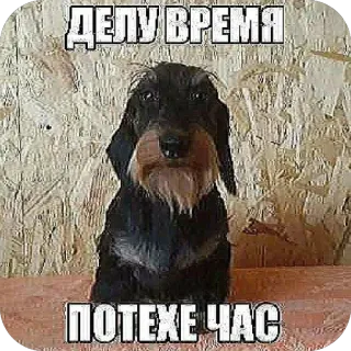🫥 ДЕЛУ ВРЕМЯ ПОТЕХЕ ЧАС telegram sticker