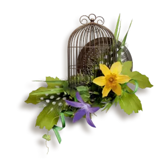 🌹 клетка для птиц, цветы, цветочный, украшение, листья, весна telegram sticker