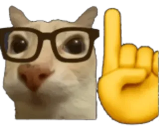 🤓 Katze, Brille, Emoji, Hand, Zeigen telegram sticker