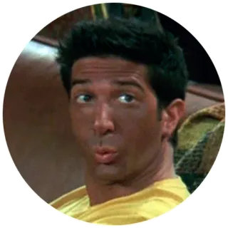 👱 Ross Geller Friends freunde, ross geller, bräunen, comedy, sitcom, fernsehserie, lustiges gesicht whatsapp sticker