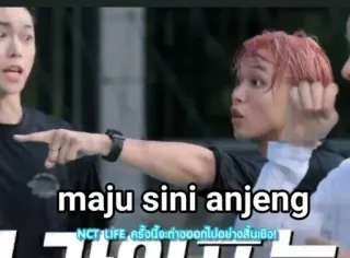 😏 maju sini anjeng offensant, argot, insulte, expression telegram sticker