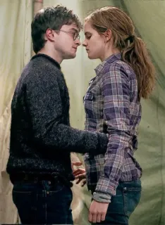🦋 Harry Potter harry potter, hermiona granger, daniel radcliffe, emma watson, film whatsapp sticker