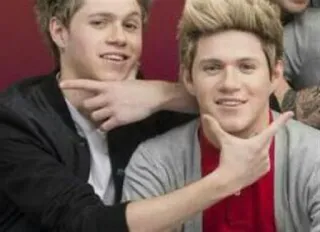 🗿 Niall Horan Niall Horan, cantante, estrella pop, One Direction telegram sticker