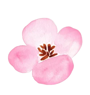 🌸 цветок, розовый, цветочный, цветение, акварель, весна, природа, растение telegram sticker