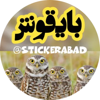 🟡 بایقوش coruja, pássaros, animal, vida selvagem telegram sticker
