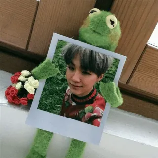 🐸 Kermit, o Sapo, boneca, foto, flores, retrato whatsapp sticker