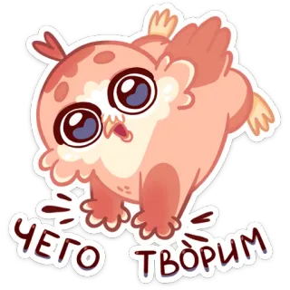 🤨 ЧЕГО ТВОРИМ hibou, mignon, dessin animé, autocollant, animal, oiseau whatsapp sticker