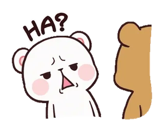 🤔 HA? หมี, สับสน, น่ารัก, สัตว์, คำถาม, การ์ตูน telegram sticker
