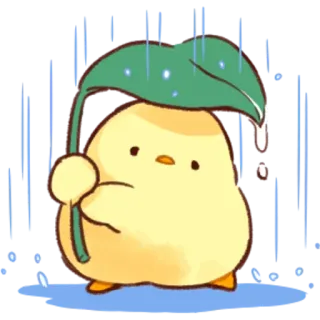 🌧 ลูกเจี๊ยบ, ฝน, ใบไม้, น่ารัก, สติกเกอร์, การ์ตูน telegram sticker
