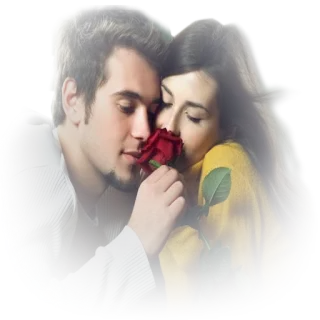 🌹 คู่, โรแมนติก, กุหลาบ, ความรัก, ความรักใคร่, ความสัมพันธ์, ดอกไม้ telegram sticker