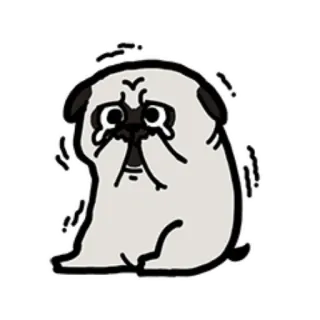 😰 pug, anjing, kartun, sedih, menangis, tertekan, hewan telegram sticker