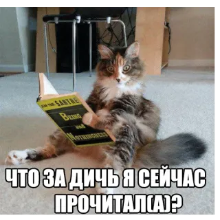 Котеечные дела telegram stickers