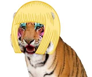 👩 tigre, animal, maquillaje, peluca, gracioso, meme, sticker whatsapp sticker
