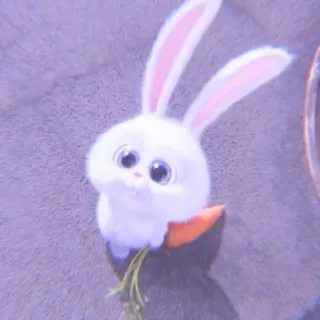 🐰 Snowball The Secret Life of Pets bunny, rabbit, cute, animal, pet, carrot, fluffy whatsapp sticker
