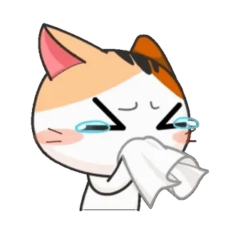 😢 แมว, ร้องไห้, เศร้า, ทิชชู่, อิโมจิ, การ์ตูน, สติกเกอร์ telegram sticker