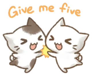 🙌 Give me five kucing, tos, imut, binatang, perayaan, persahabatan telegram sticker