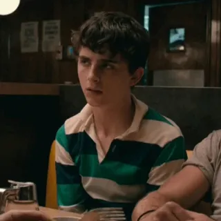 🍃 Timothée Chalamet acteur, portrait, homme, personne telegram sticker