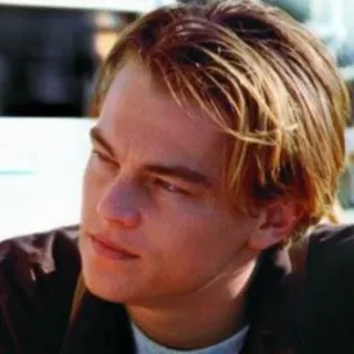 😐 Leonardo DiCaprio aktor, celebryta, portret, młody Leonardo DiCaprio telegram sticker