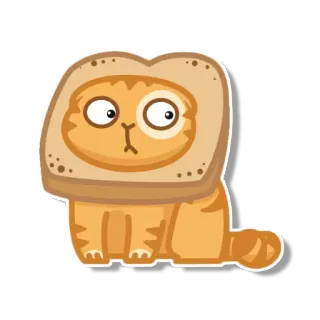 😐 gato, tostada, pan, animal, lindo telegram sticker