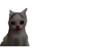 🙁 gato, animal, animal de estimação, meme, engraçado telegram sticker