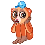 😨 loris, animal, cute, sad, cartoon, worried, emoji, sticker telegram sticker