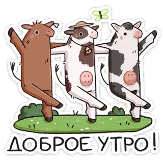 💃 ДОБРОЕ УТРО! 牛, 動物, 朝, 挨拶, 漫画, 可愛い telegram sticker
