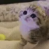 👀