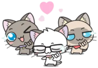 🤟 cats, animal, cute, sticker, cartoon, heart, animated whatsapp sticker