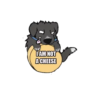 🧀 I AM NOT
A CHEESE dog, cheese, animal, humor, funny, cartoon, pet telegram sticker