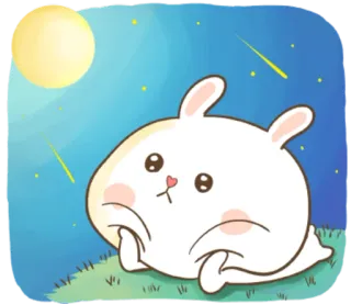🐽 królik, księżyc, gwiazdy, noc, słodki, zwierzę telegram sticker