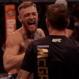 😂 Conor McGregor UFC mma, 康纳·麦格雷戈, 格斗, 体育, ufc, 拳手 telegram sticker