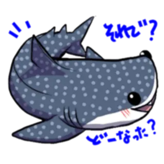 ❓ Tiburón, Tiburón ballena, Animal, Dibujo animado, Lindo, Vida marina telegram sticker