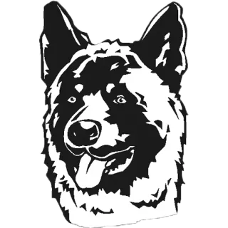 😞 개, 애완동물, 동물, 인물사진, 개 품종 telegram sticker