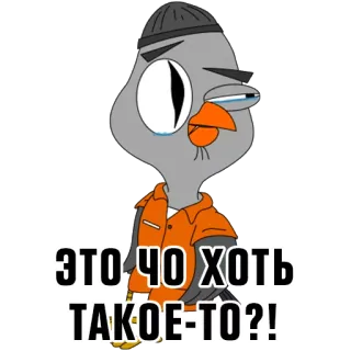 ⁉ ЭТО ЧО ХОТЬ ТАКОЕ-ТО?! pájaro, paloma, pregunta, dibujo animado telegram sticker