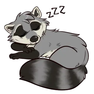 😴 ZZZ raccoon, sleeping, animal, cartoon whatsapp sticker