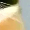 😎