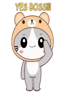 👍 YES BOSS!!! süß, Katze, Bär, Ja Chef, Zustimmung, Gehorsam, Cartoon whatsapp sticker